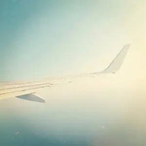 Ala Avión - Laia Navarra